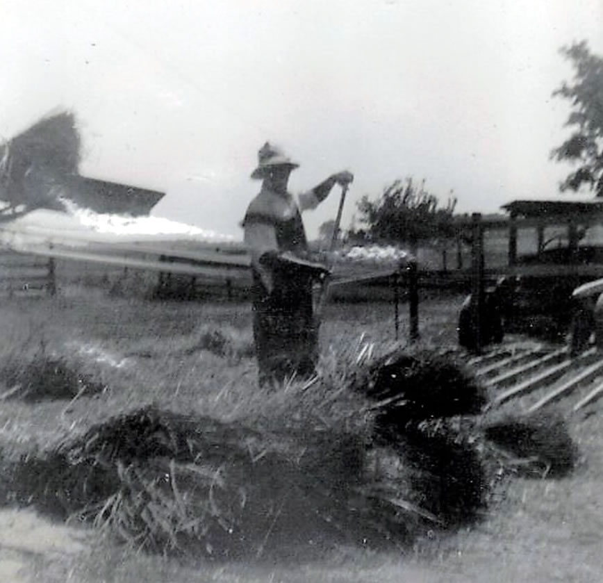 Rear view of Harry Schrolucke’s buckrake