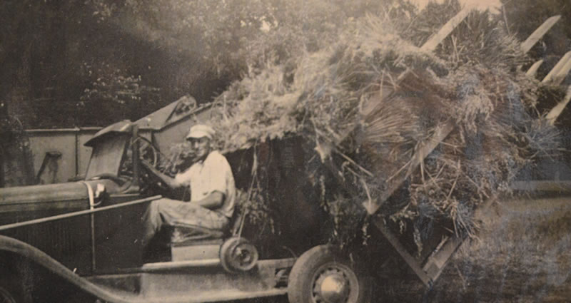 New Knoxville Buckrake