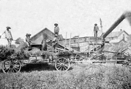 Farm Threshing 01