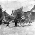 Transportation Horse and Buggy 01