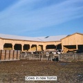 Bambauer Barn Fire040 18a